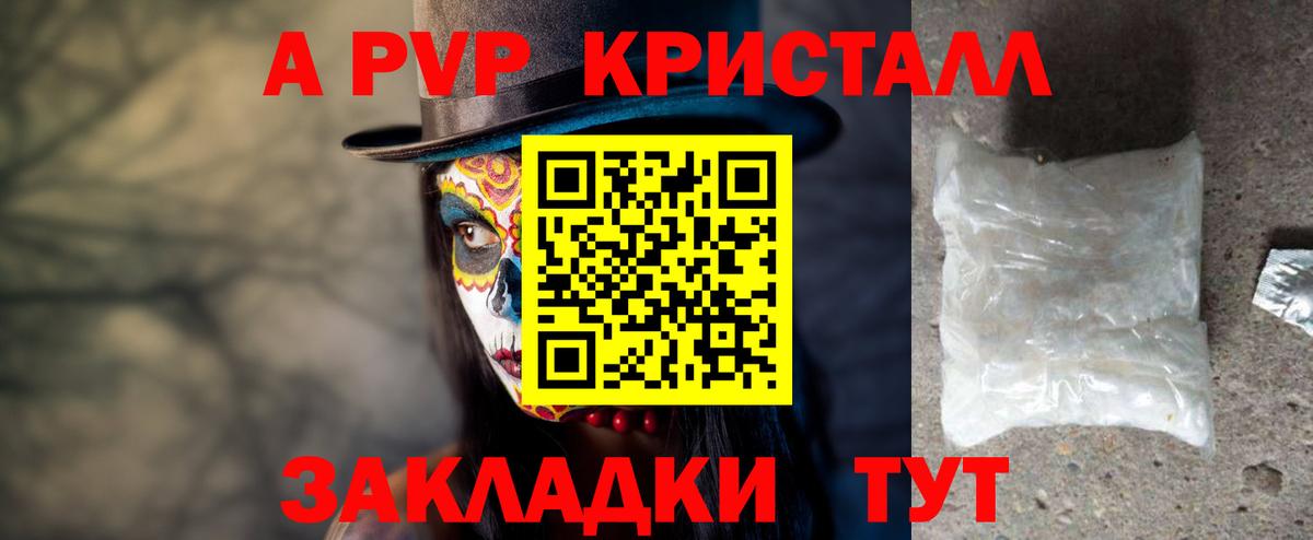A-PVP СК КРИС Сальск