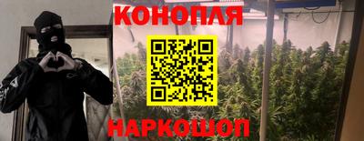 PSILOCYBIN Малоярославец